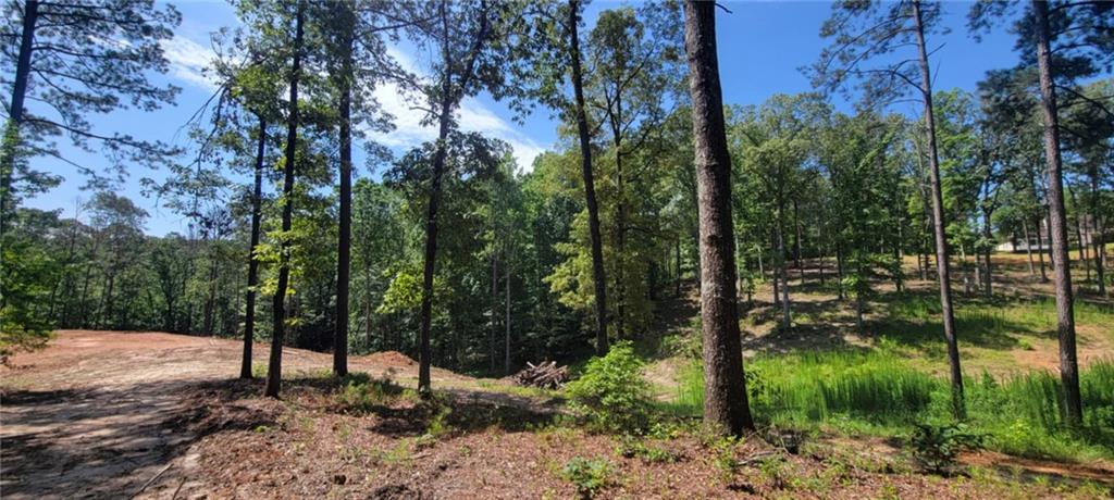 Space and privacy in North Paulding! Lots have already been cleared for homesites. Public water, electric and cable available. Land is currently in one 15 acre piece. Please see marketing plat for suggested lot sizes. This can be adjusted for the buyer's needs. Lovely creek at the back of the property for lot 2 and 3.