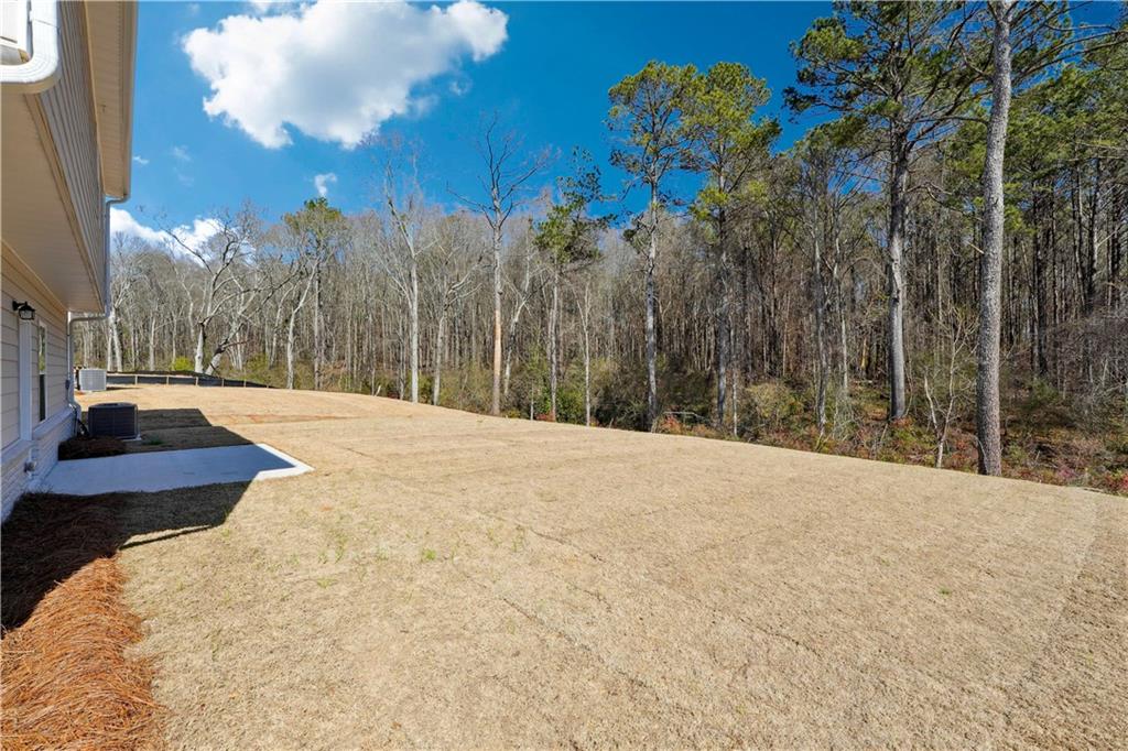 258 Orwell Drive, Social Circle, Georgia image 14
