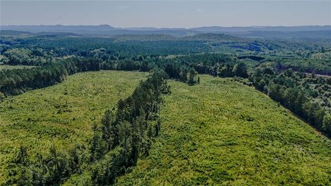 Vacant Land For Sale - LOT 1 Back Valley Road<br/> Chattooga County, Lyerly, GA 30730