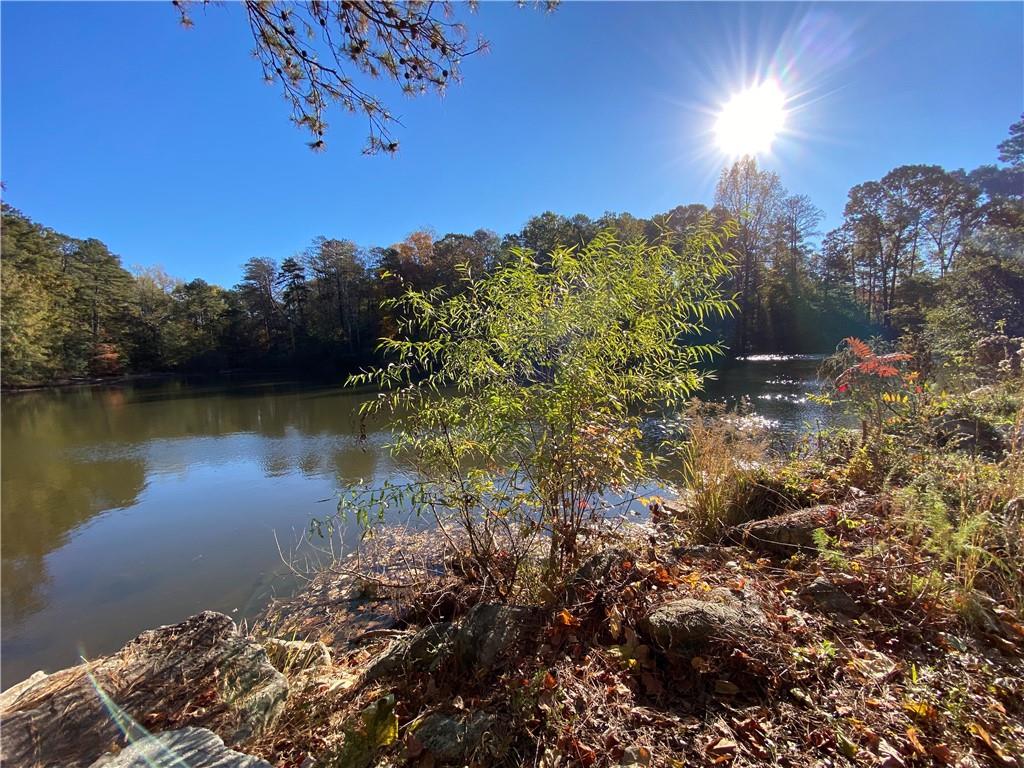 1074 Evans Drive, Riverdale, Georgia image 9