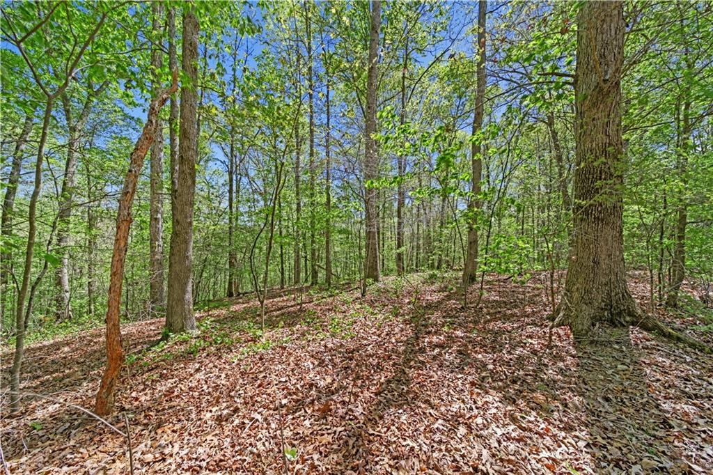 Lot 3 Kinney Creek Lane, Pendergrass, Georgia image 14