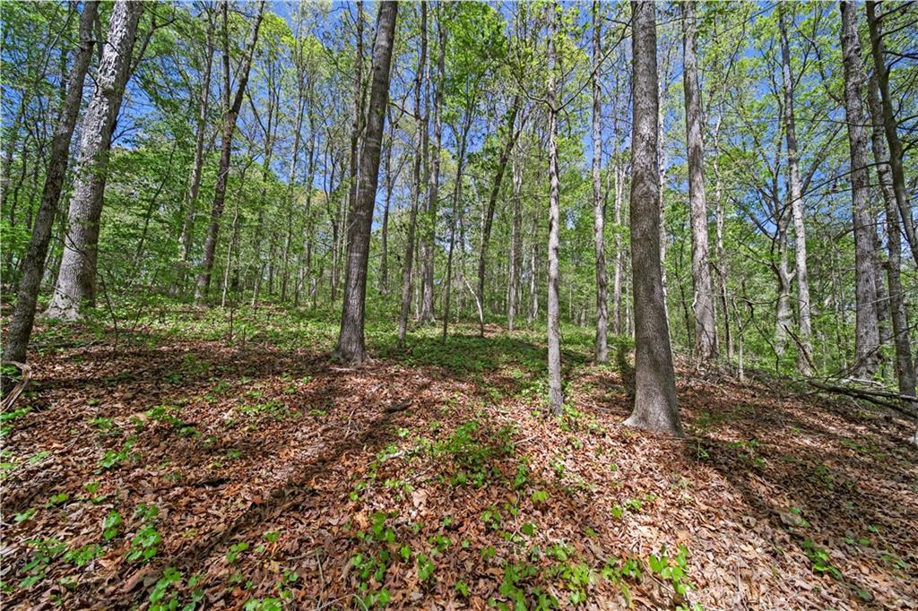Lot 3 Kinney Creek Lane, Pendergrass, Georgia image 17