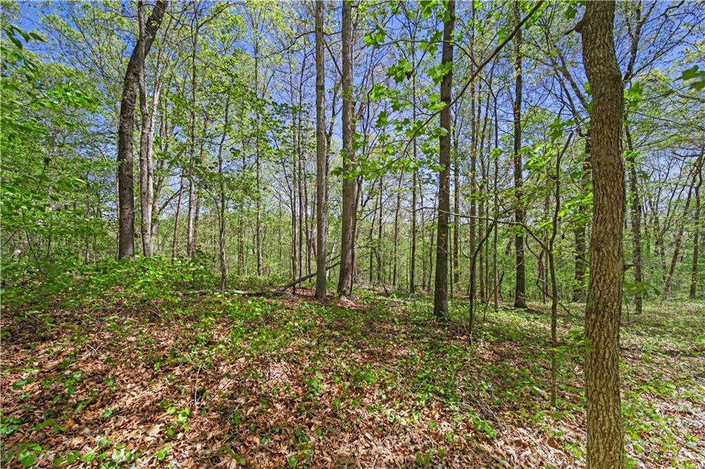 Lot 3 Kinney Creek Lane, Pendergrass, Georgia image 9