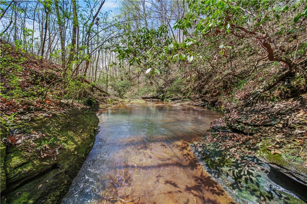 Lot 3 Kinney Creek Lane, Pendergrass, Georgia image 12