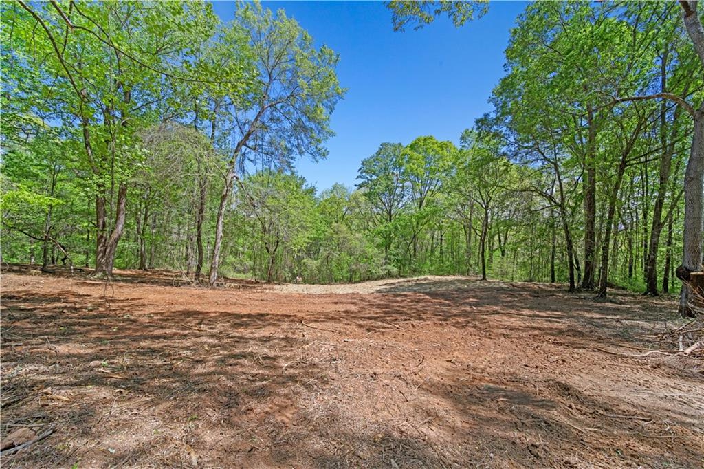 Lot 3 Kinney Creek Lane, Pendergrass, Georgia image 3