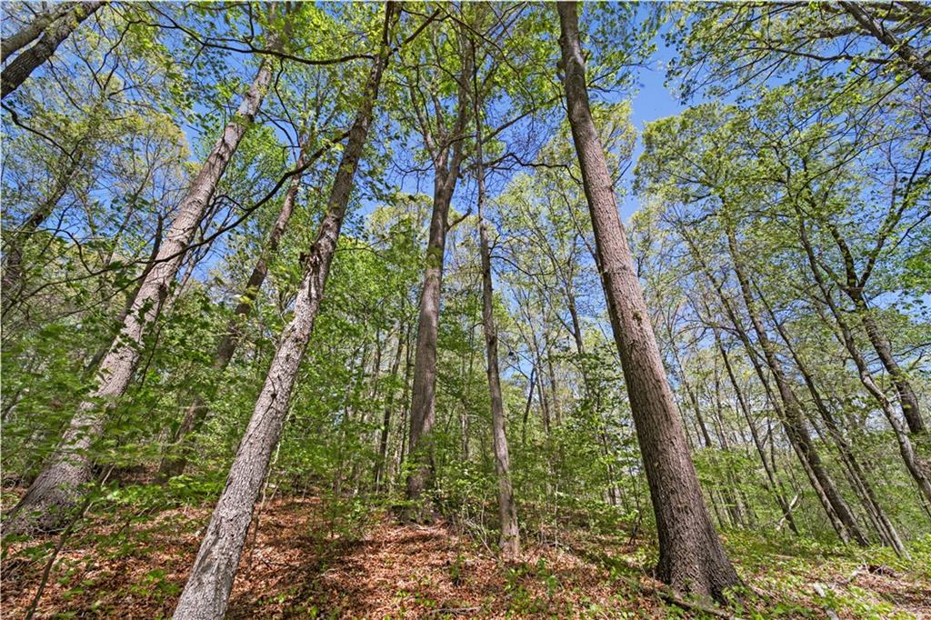 Lot 3 Kinney Creek Lane, Pendergrass, Georgia image 10