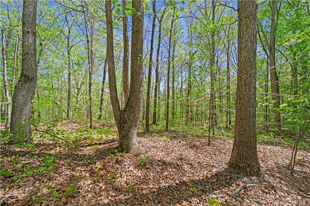 Lot 3 Kinney Creek Lane, Pendergrass, Georgia image 5
