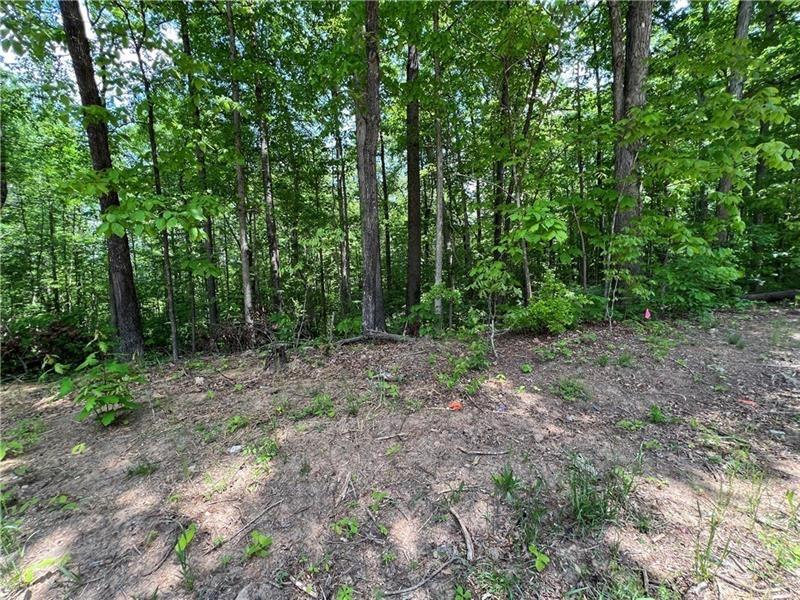 5624 Browns Mill Road, Lithonia, Georgia image 3
