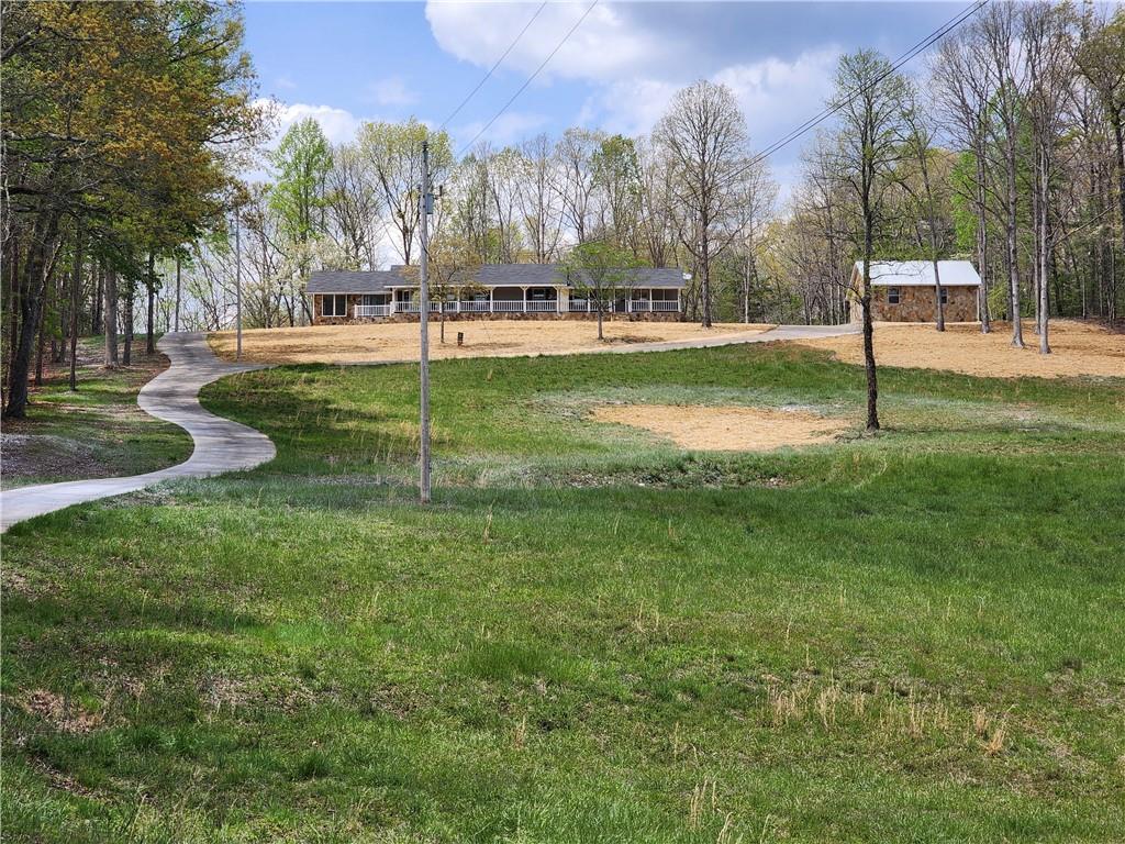 7203 Murphy Highway, Mineral Bluff, Georgia image 1