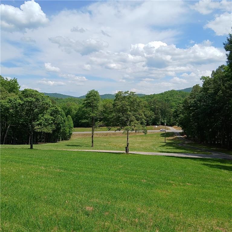 7203 Murphy Highway, Mineral Bluff, Georgia image 3
