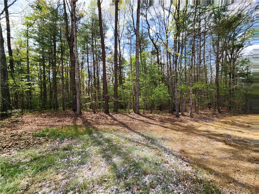 7203 Murphy Highway, Mineral Bluff, Georgia image 25