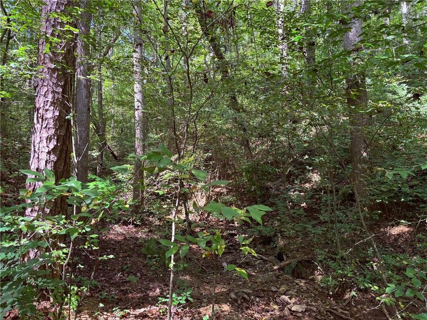 6 Wooded AC. of UNRESTRICTED LAND with a GREAT location. Nice STREAM runs through the property with a Building site above. This property can be split per Pickens County Development office.