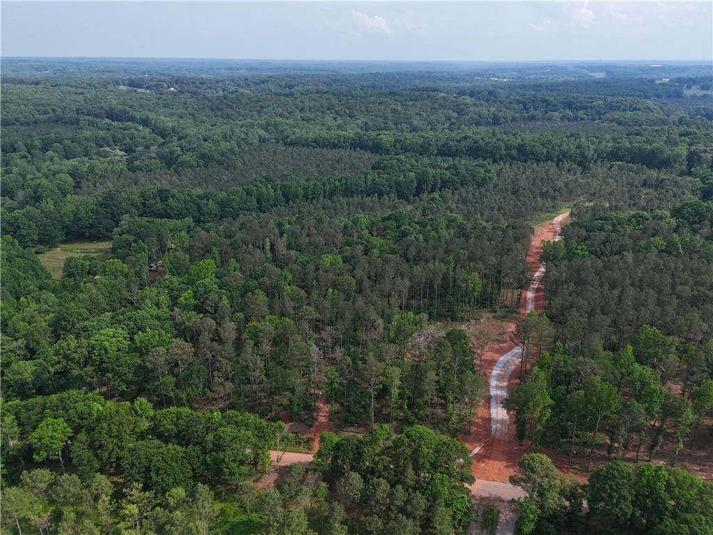 Watkins Farm Road, Nicholson, Georgia image 3