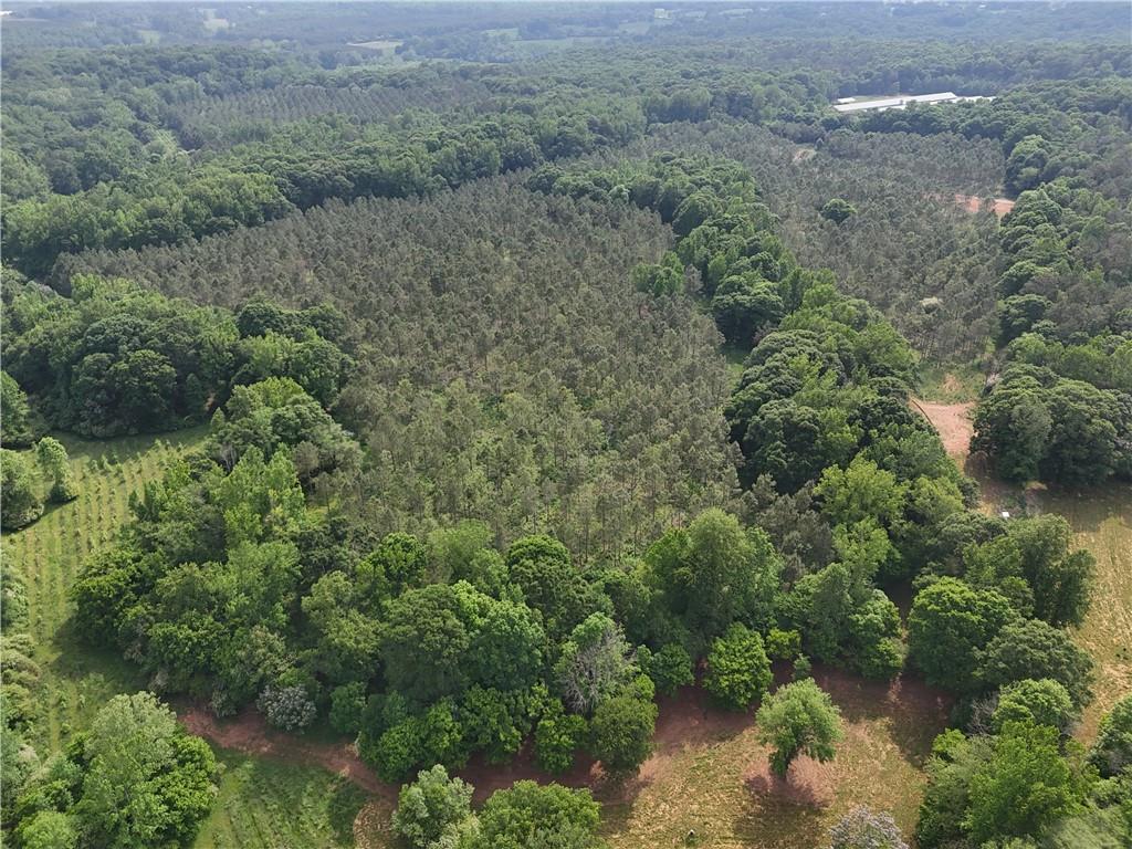 Watkins Farm Road, Nicholson, Georgia image 8