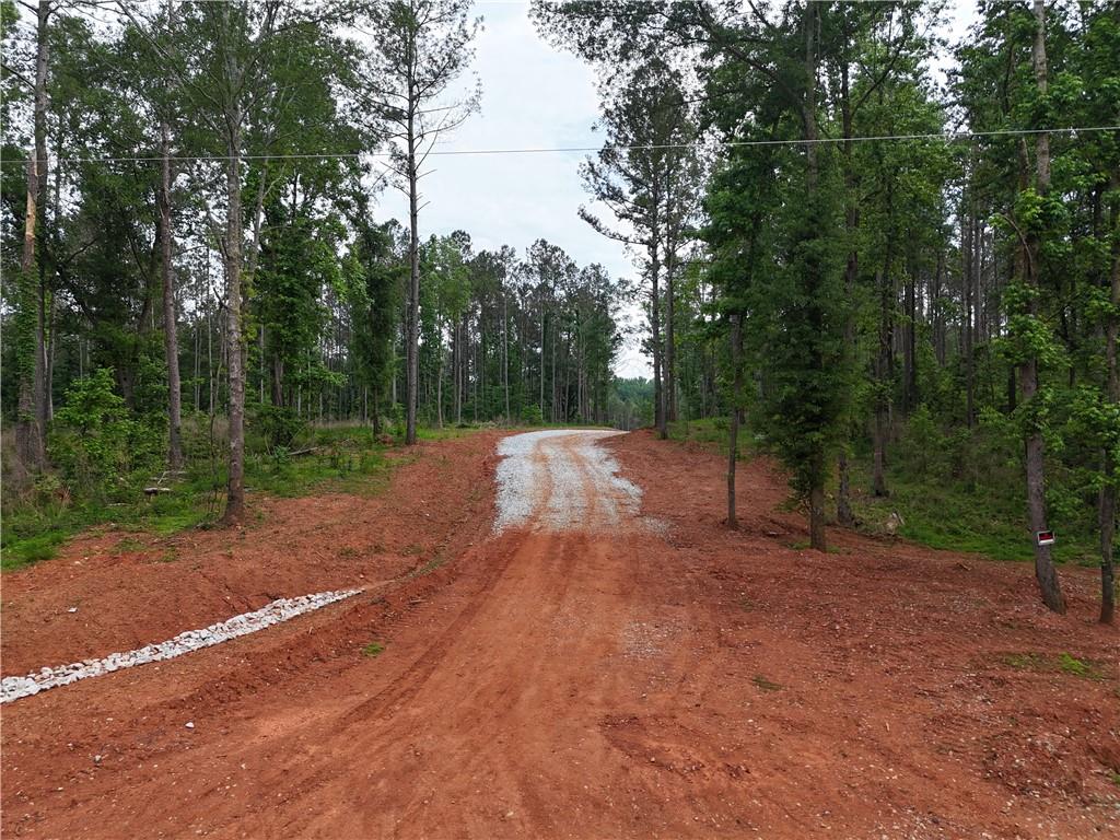 Watkins Farm Road, Nicholson, Georgia image 4