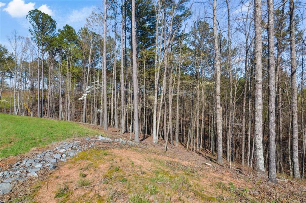 LT 103 Blalock Mountain Rd, Talking Rock, Georgia image 18