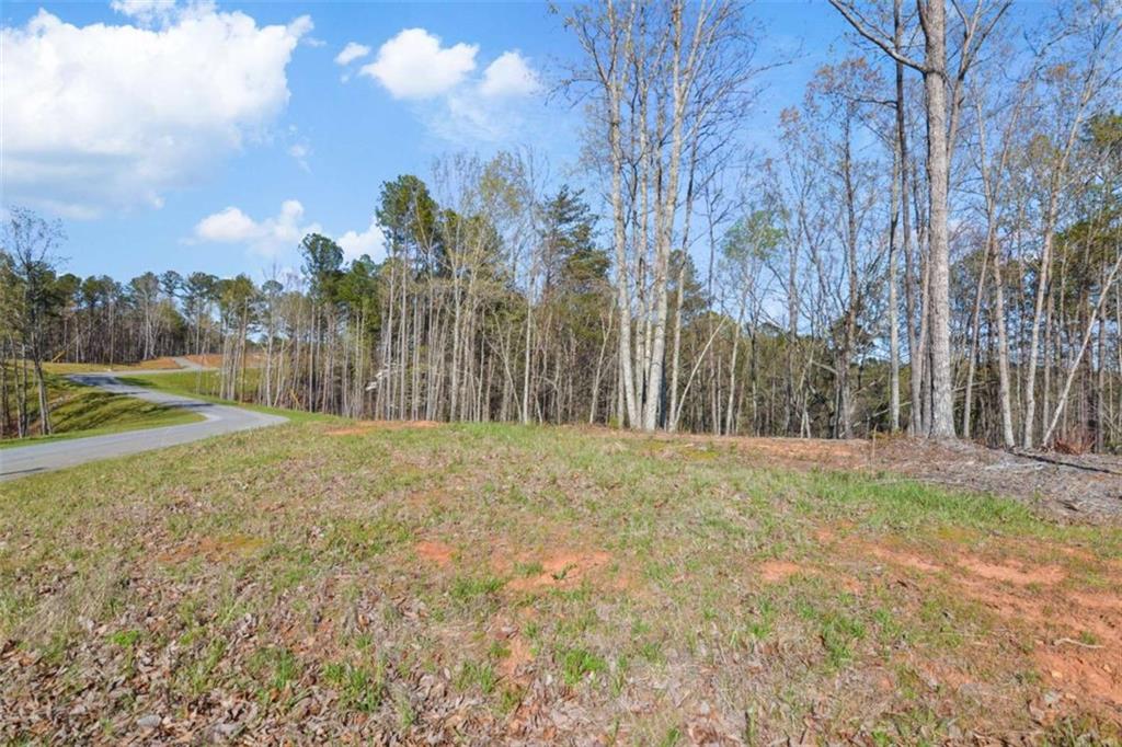 LT 103 Blalock Mountain Rd, Talking Rock, Georgia image 16