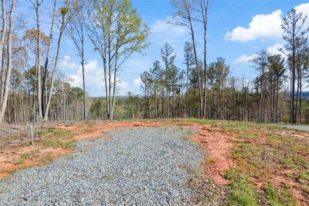 LT 103 Blalock Mountain Rd, Talking Rock, Georgia image 10