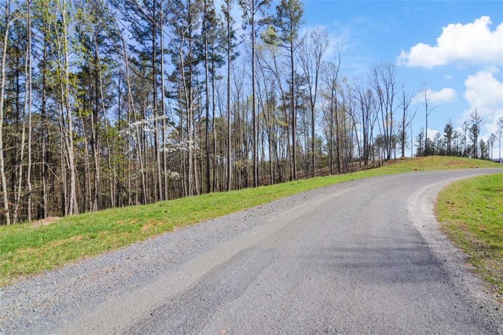 LT 103 Blalock Mountain Rd, Talking Rock, Georgia image 19