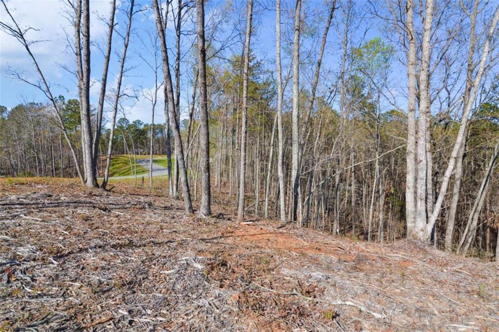 LT 103 Blalock Mountain Rd, Talking Rock, Georgia image 13
