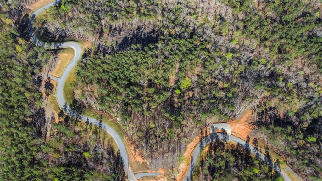 LT 103 Blalock Mountain Rd, Talking Rock, Georgia image 6