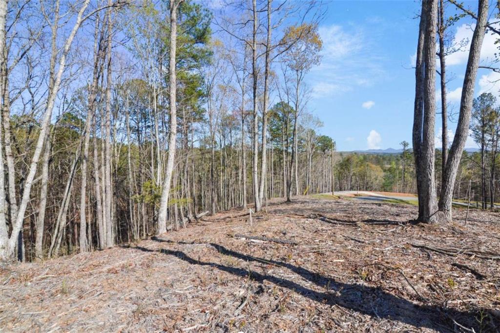 LT 103 Blalock Mountain Rd, Talking Rock, Georgia image 12
