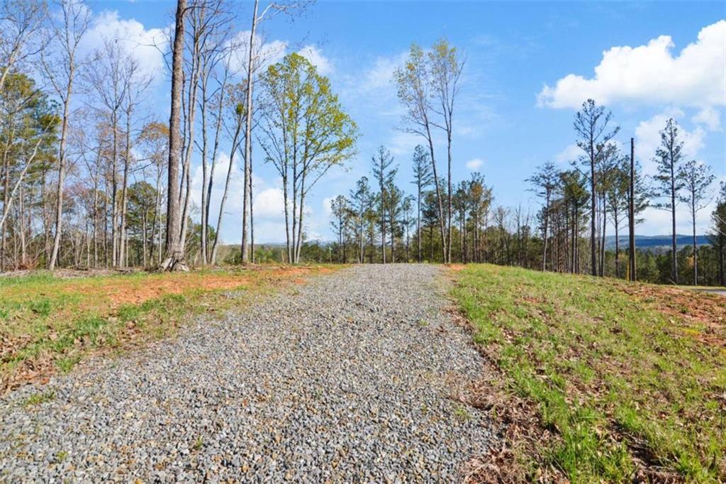 LT 103 Blalock Mountain Rd, Talking Rock, Georgia image 9