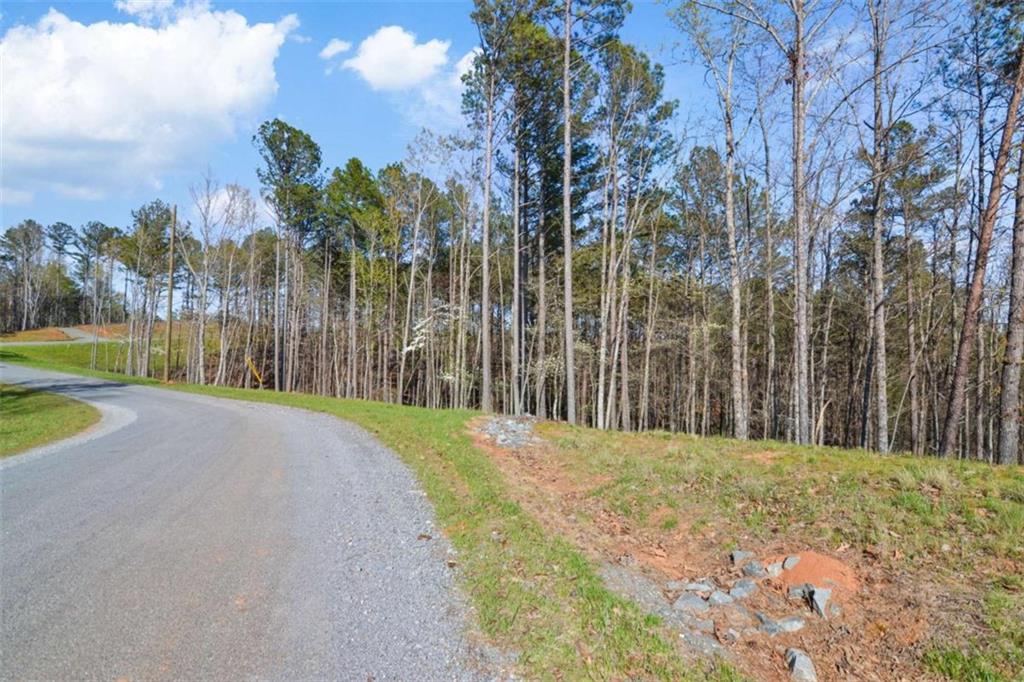 LT 103 Blalock Mountain Rd, Talking Rock, Georgia image 17
