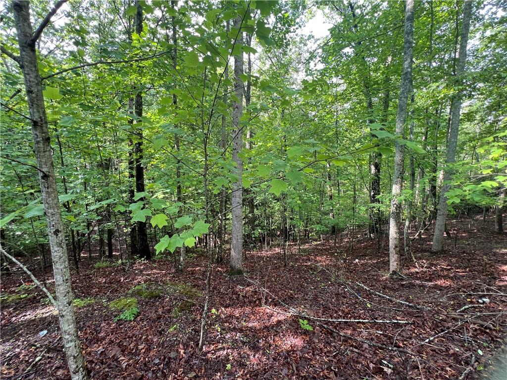 395 Able Road, Waleska, Georgia image 8