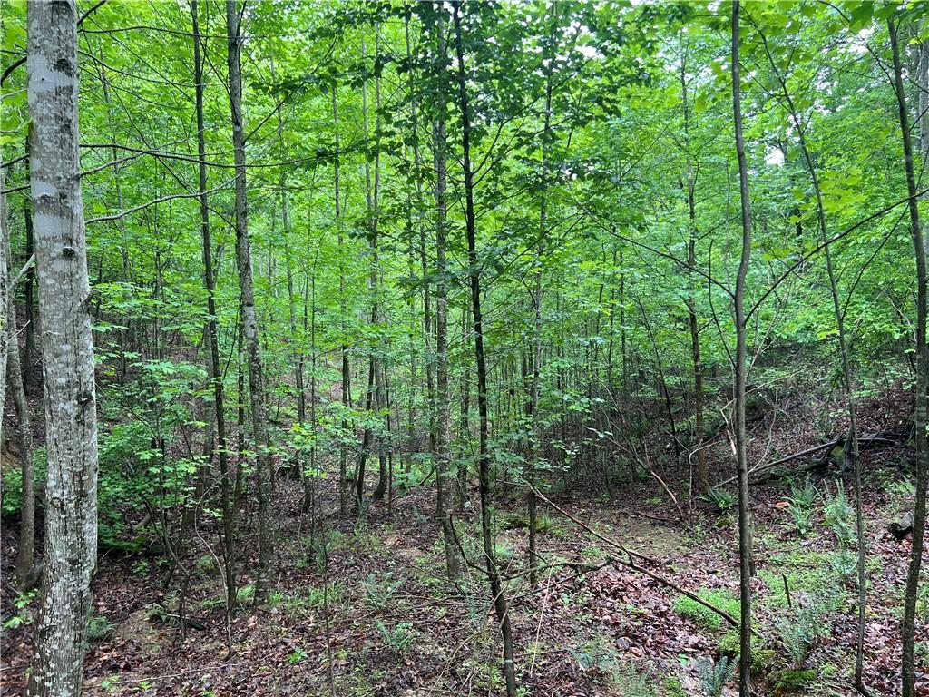 395 Able Road, Waleska, Georgia image 21