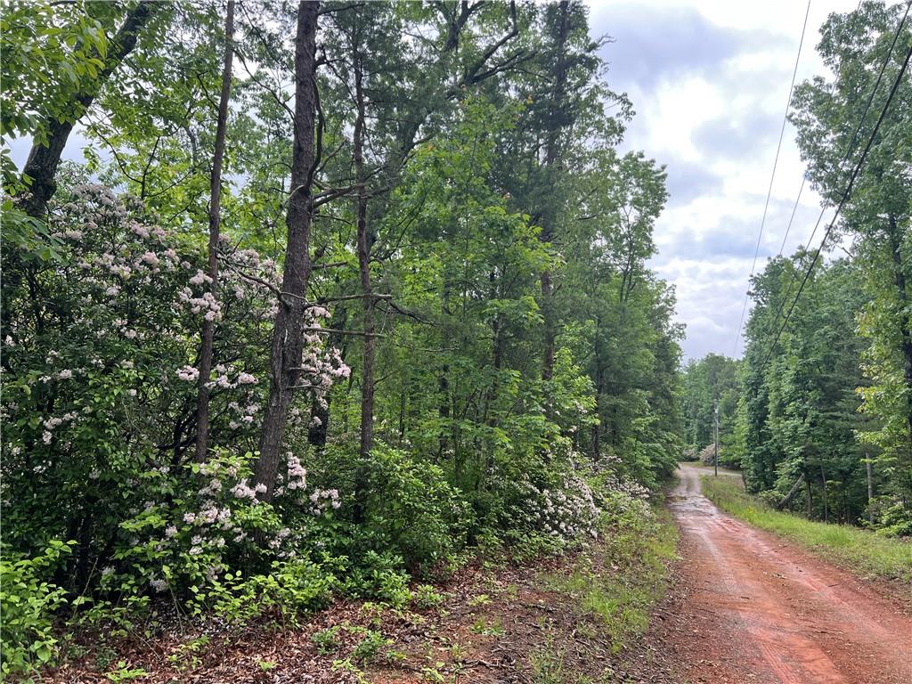 395 Able Road, Waleska, Georgia image 24