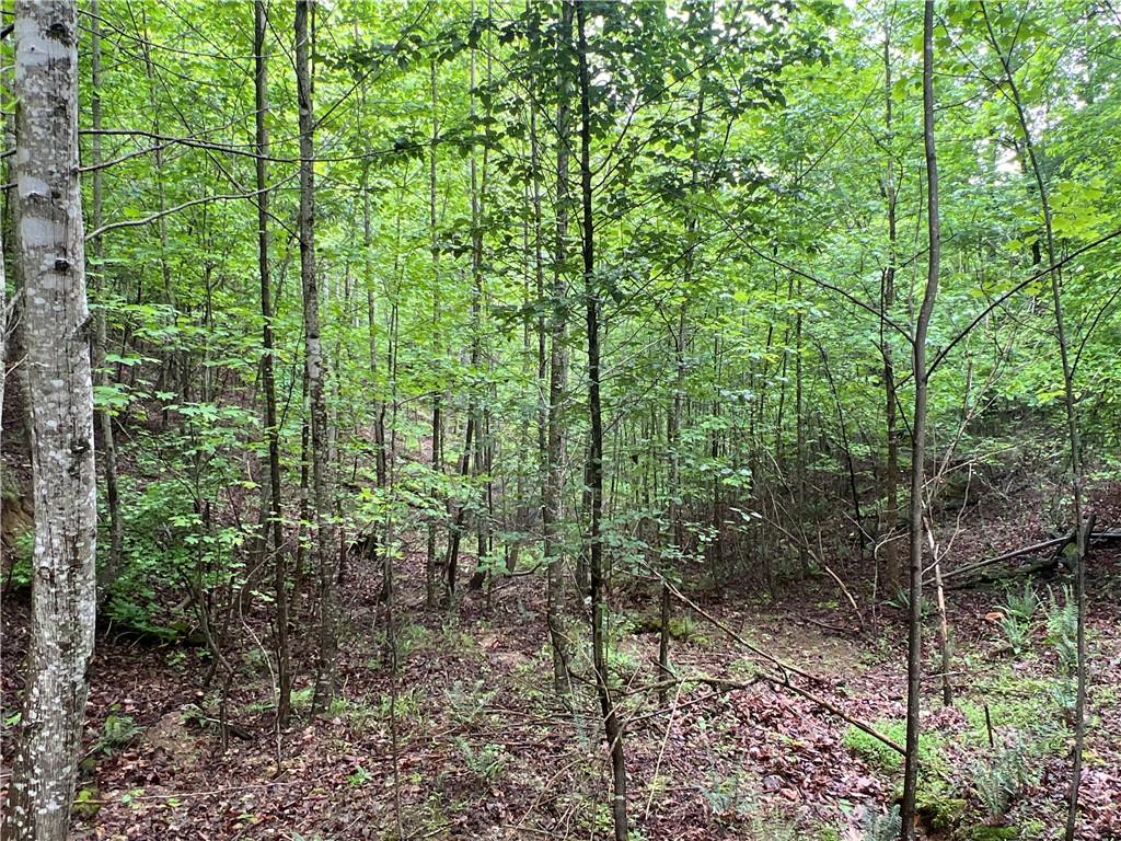 395 Able Road, Waleska, Georgia image 19