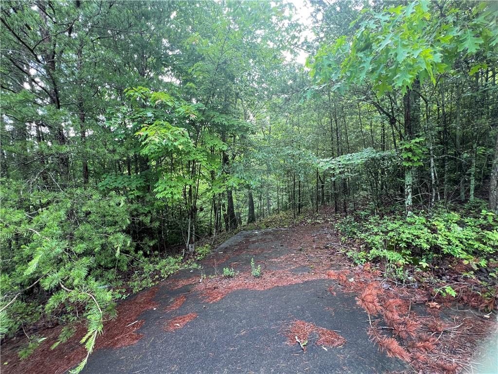 395 Able Road, Waleska, Georgia image 15