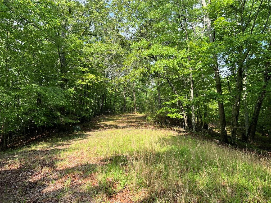 395 Able Road, Waleska, Georgia image 7
