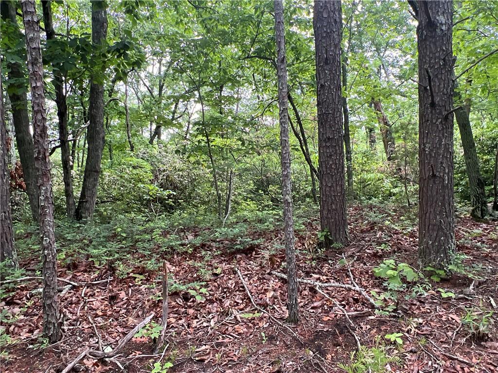 395 Able Road, Waleska, Georgia image 27