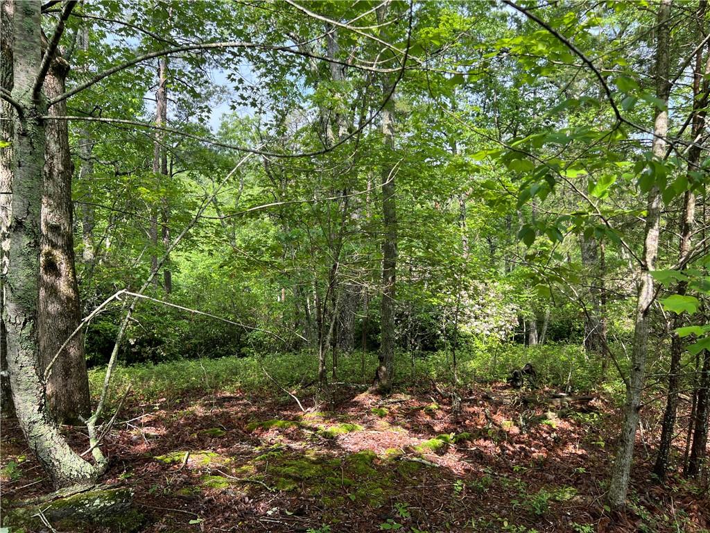 395 Able Road, Waleska, Georgia image 13