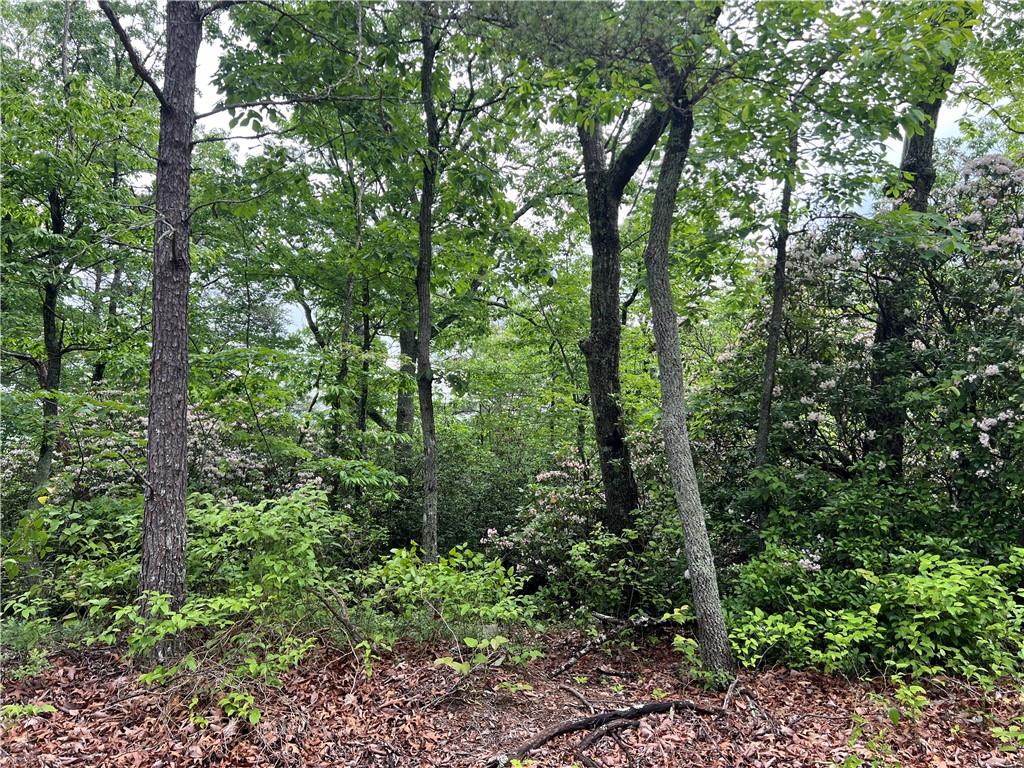 395 Able Road, Waleska, Georgia image 23