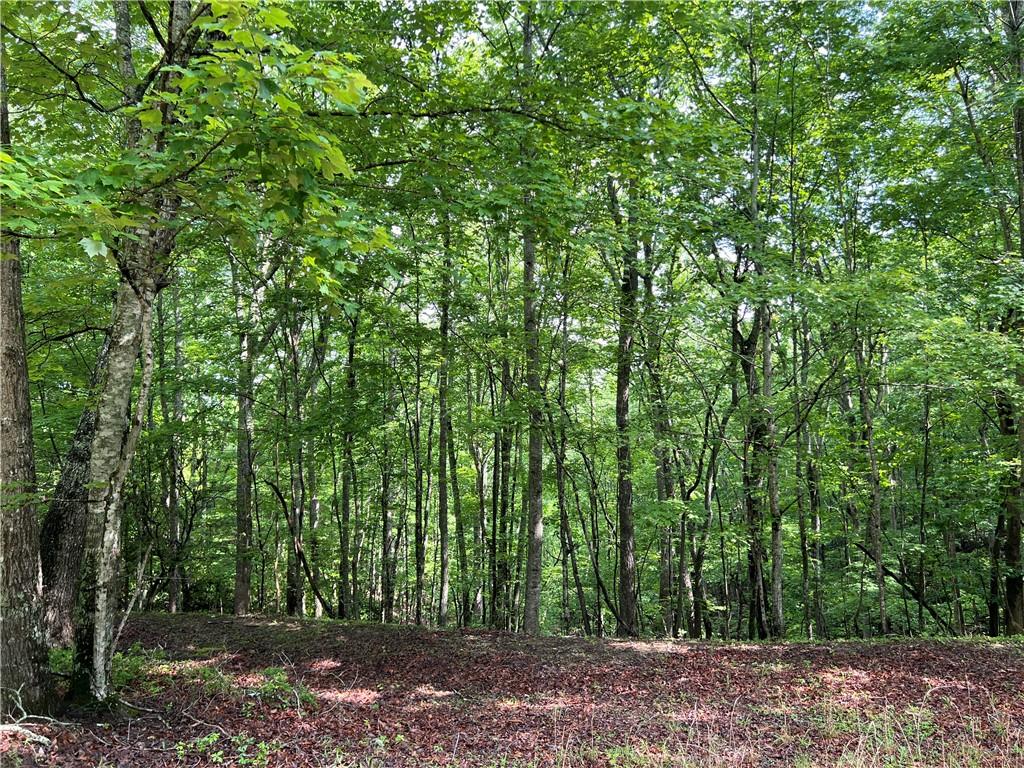 395 Able Road, Waleska, Georgia image 9