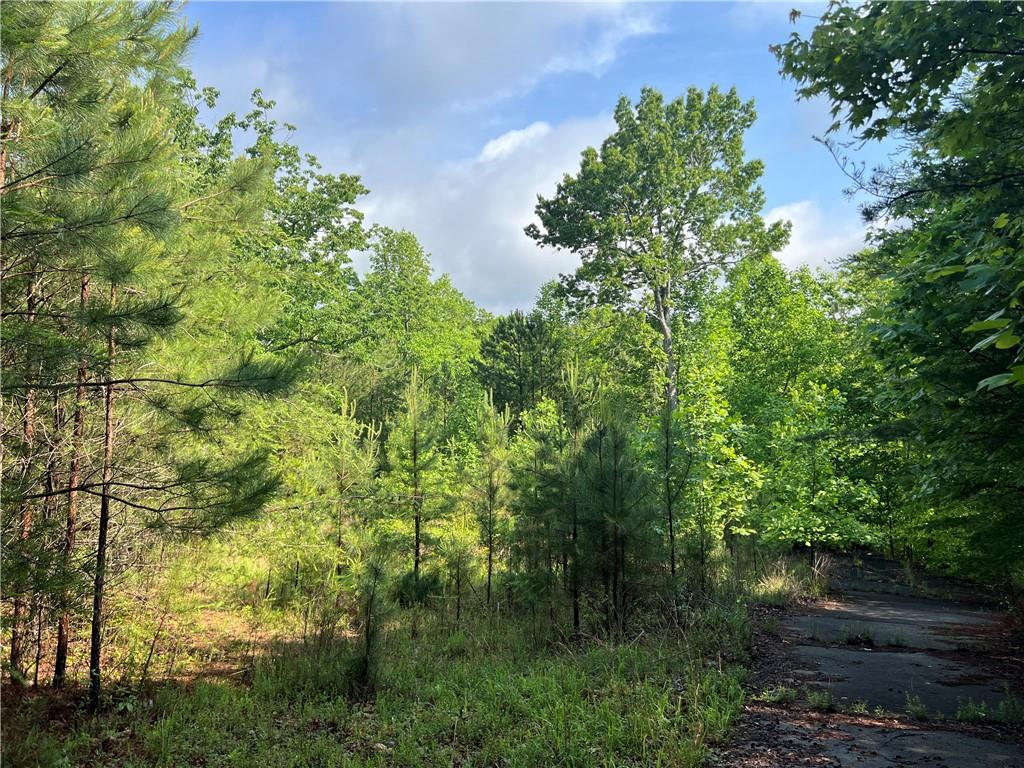 395 Able Road, Waleska, Georgia image 5