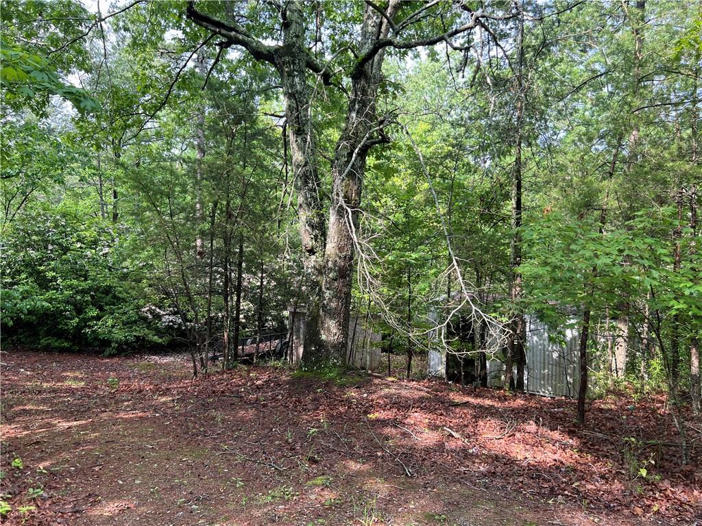 395 Able Road, Waleska, Georgia image 10
