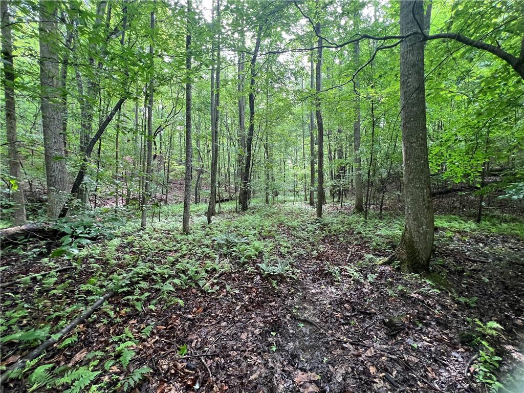395 Able Road, Waleska, Georgia image 3