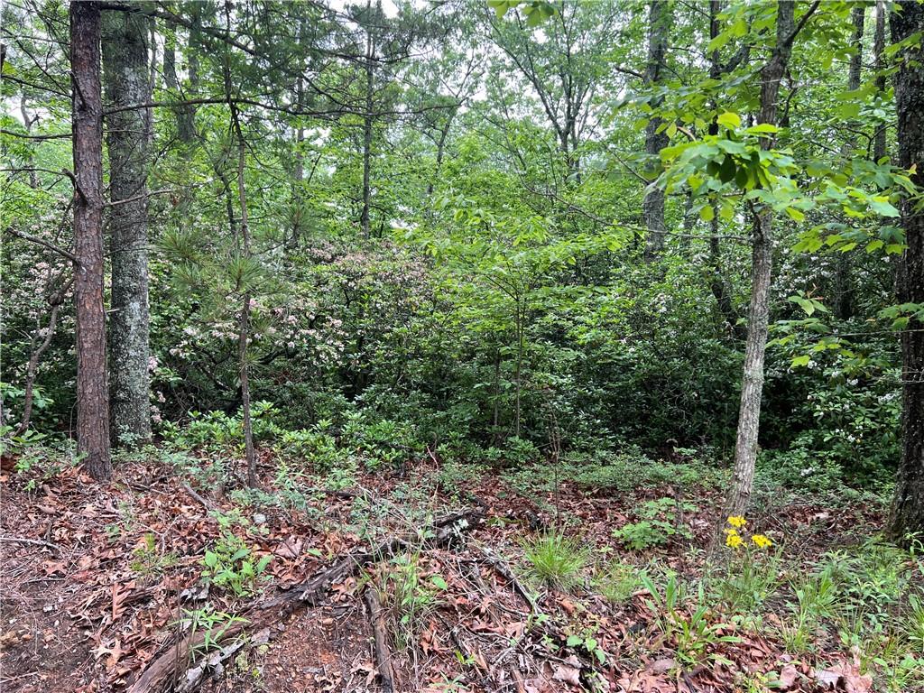 395 Able Road, Waleska, Georgia image 25