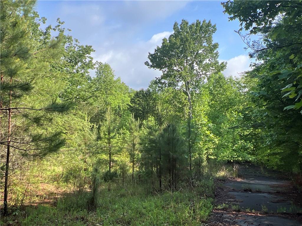 395 Able Road, Waleska, Georgia image 6