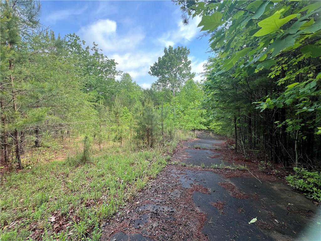 395 Able Road, Waleska, Georgia image 14