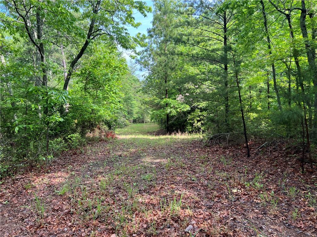395 Able Road, Waleska, Georgia image 11