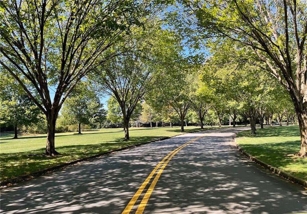 Wyndsor At Mineral Museum Drive - Residential