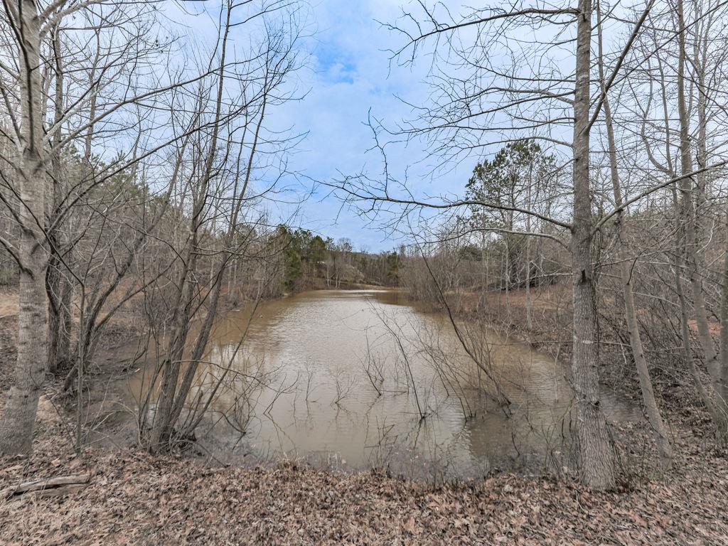 2810 Little Refuge Road Road, Waleska, Georgia image 26