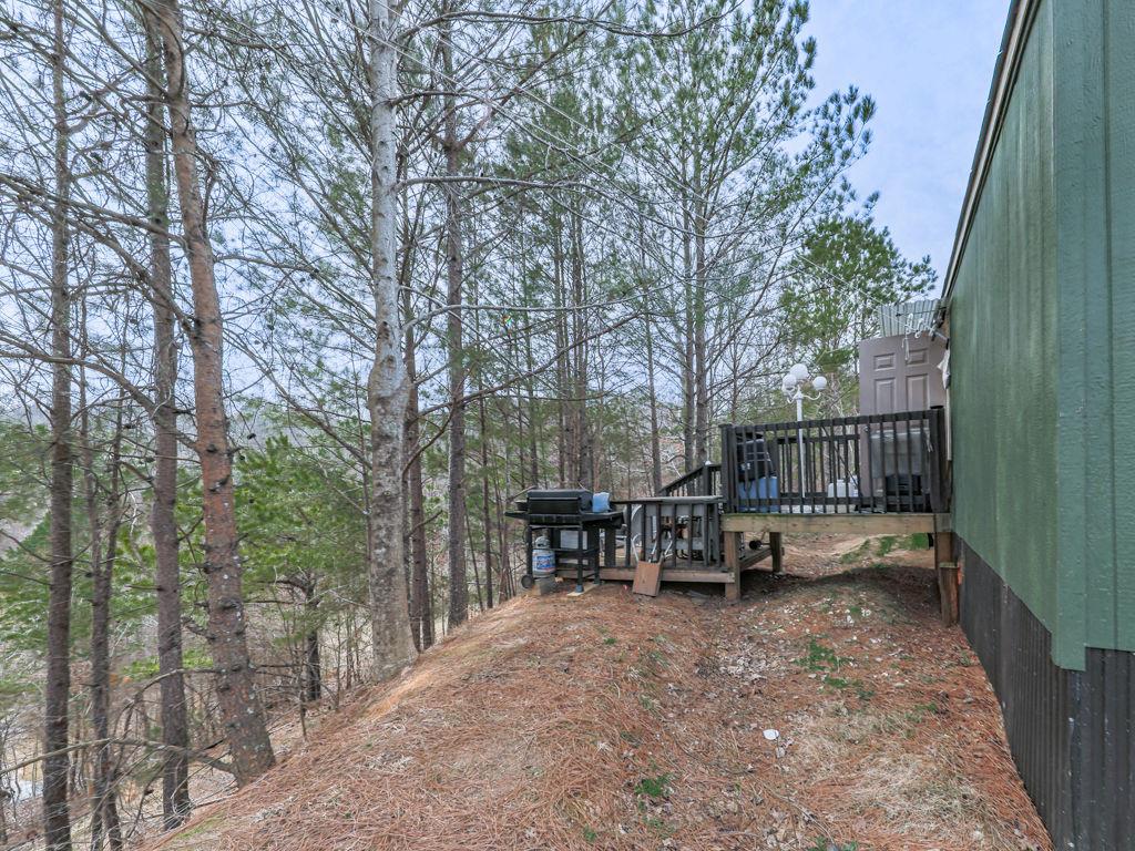 2810 Little Refuge Road Road, Waleska, Georgia image 25