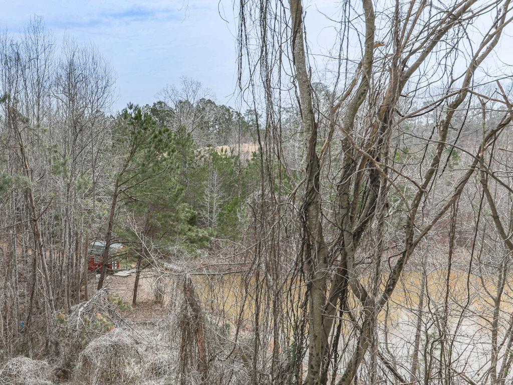 2810 Little Refuge Road Road, Waleska, Georgia image 27