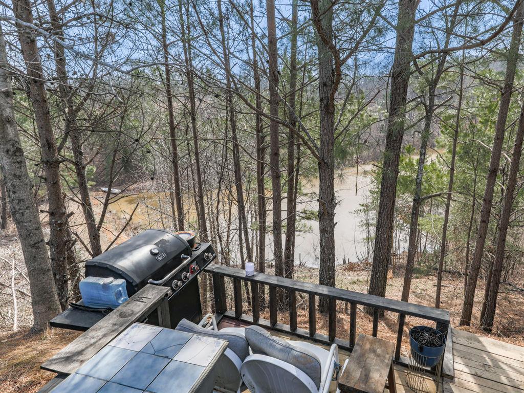2810 Little Refuge Road Road, Waleska, Georgia image 24